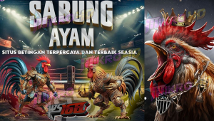 Situs Betting Terpercaya dan Terbaik Se-Asia untuk Bermain Sabung Ayam